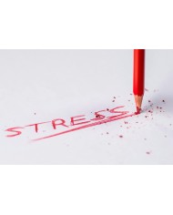 Intervision - Stress post-traumatique (AVRIL 2026)